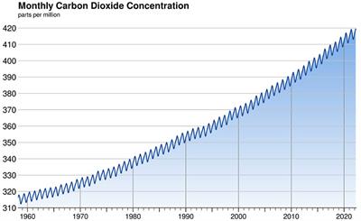 Climate change: Comparing “green” and “polluting” nation-states